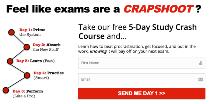 example of Phyzzle's email course lead magnet