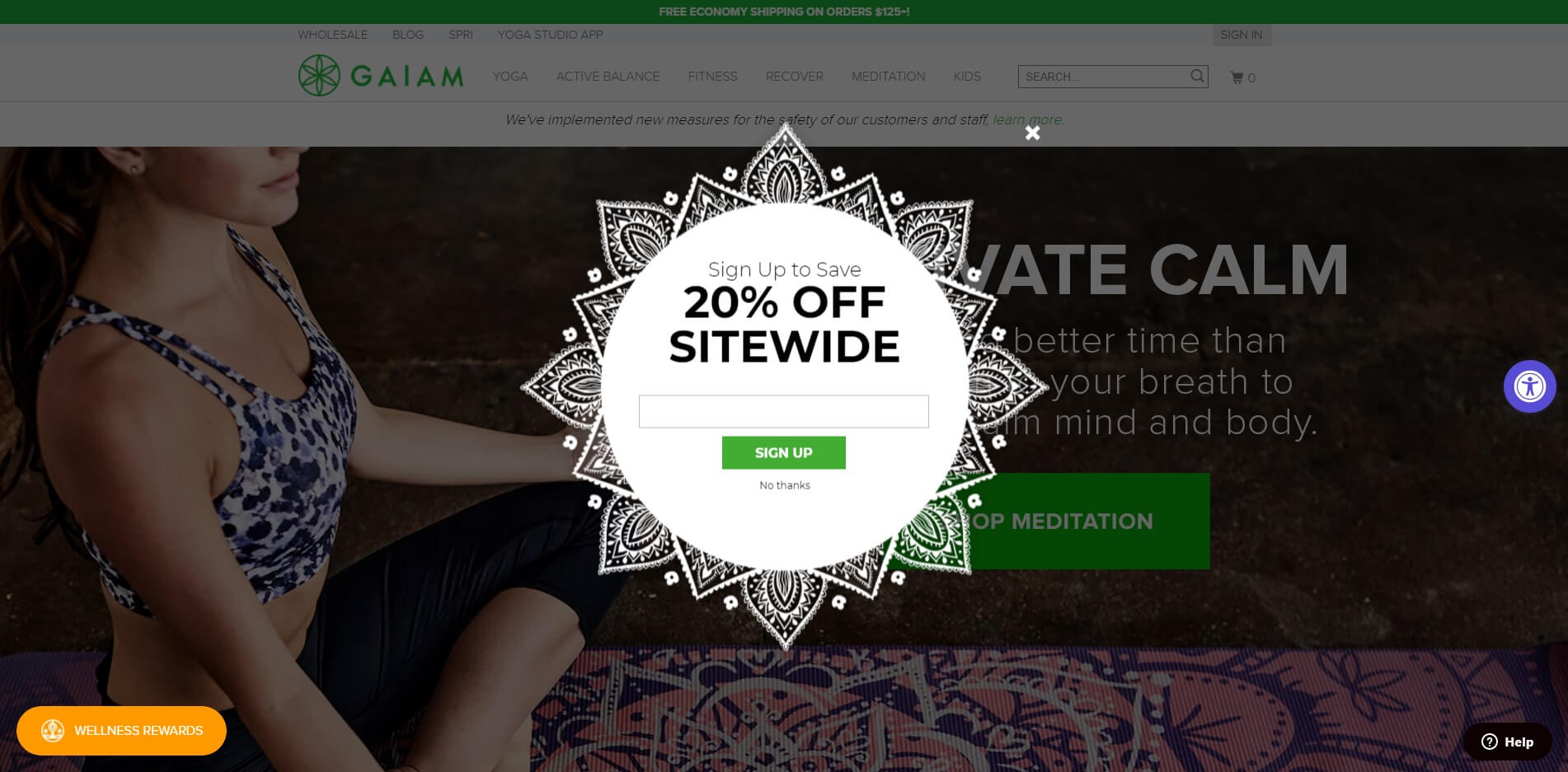 Gaiam email popup examples