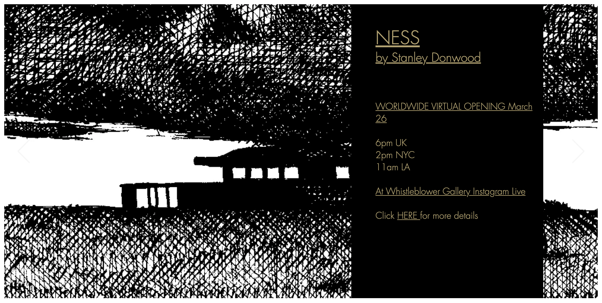 NESS gallery show
