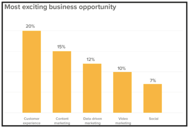 Chart showing customer experience, content marketing, data-driven marketing, video marketing, and social as exciting business opportunities