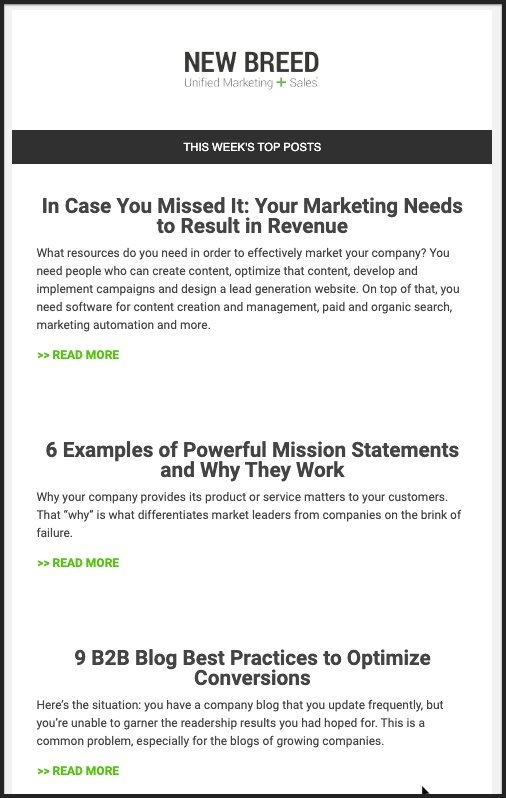 New Breed Marketing email newsletter design example digest