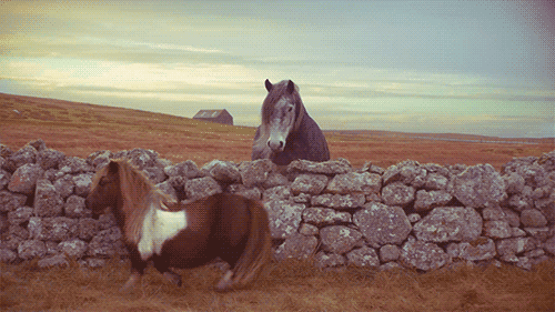 un caballo viendo pasar un pony detrás de un muro de piedra en un GIF animado.