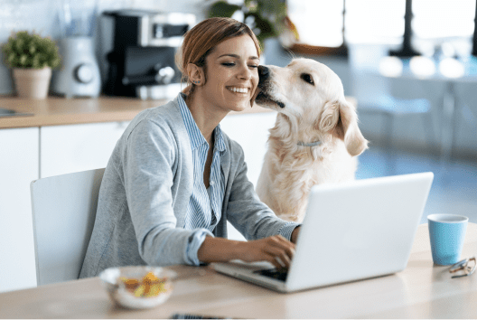 A woman on her laptop smiles as her face is licked by a lightly colored golden retriever
