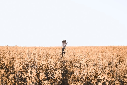 hand sticking out of a field