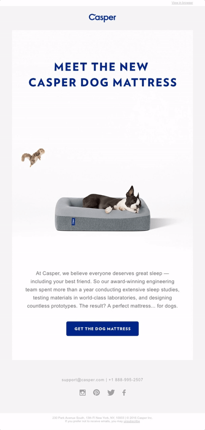 Casper product launch announcement email with a squirrel jumping over a dog gif