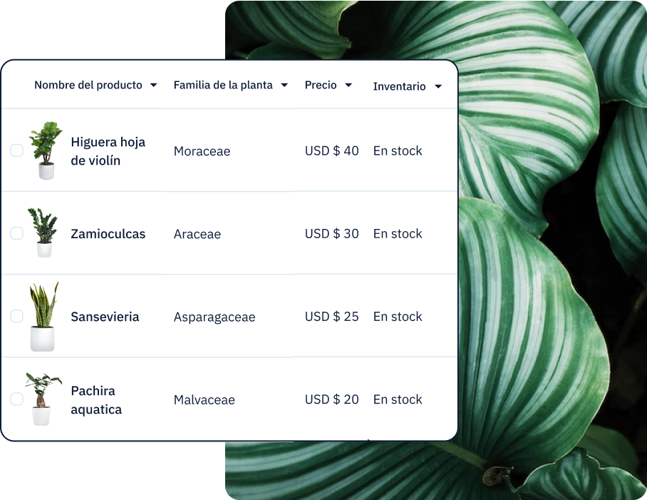 UseCases Dropshipping Spanish 1