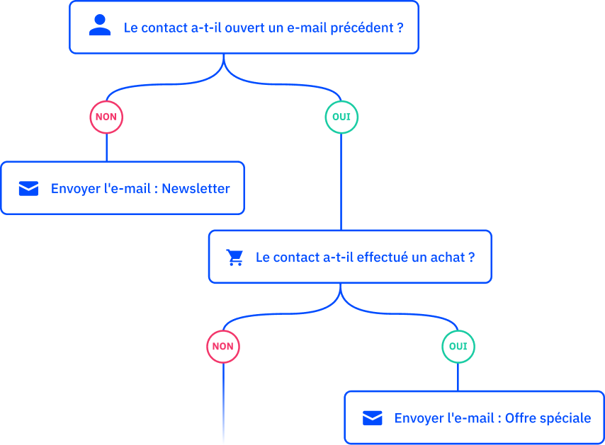 Newsletter automation FR