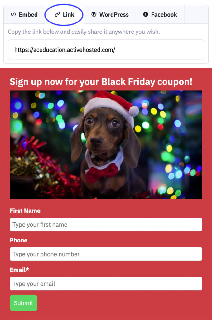 A Black Friday coupon email fro mthe ActiveCampaign software