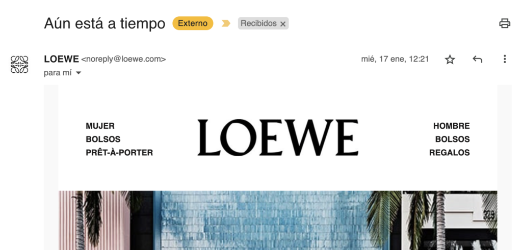 Un ejemplo de un email no-reply de Loewe